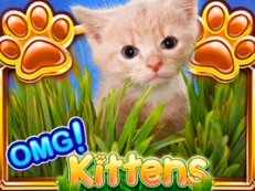 OMG Kittens
