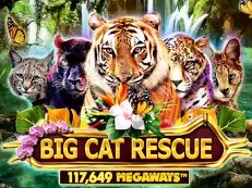 Big Cat Rescue gokkast